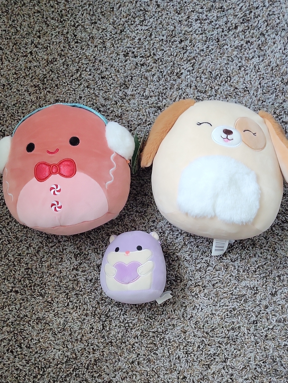 Squishmallows - HARRISON the Dog, BALTHAZAR, BRAVO the hamster